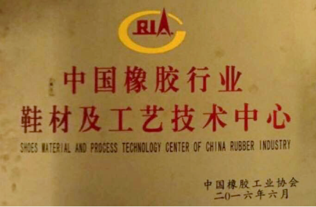 2016年6月中国橡胶协会在我公司成立鞋材及工艺技术中心